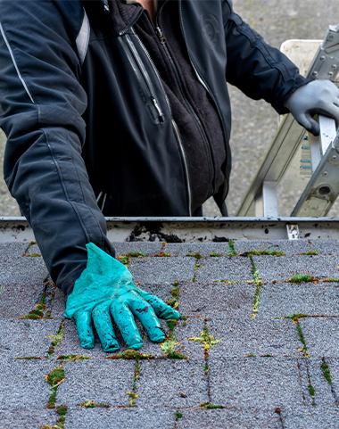 Nettoyer sa toiture avec de l'eau de javel : mauvaise idée